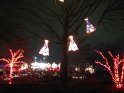 Toledo Zoo Lights 2008 044